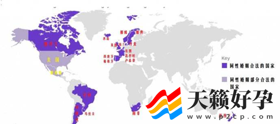 荷兰首开先河,同性恋在越来越多国家开始合法化(图2)