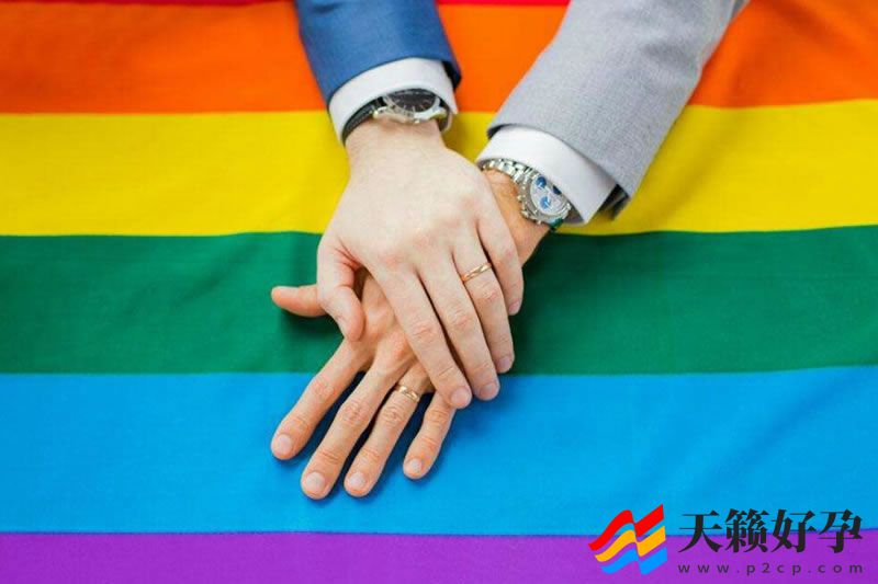 浅析同性婚姻的合法化(图1)