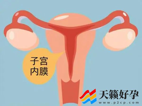 深圳做试管婴儿费用试管婴儿具体流程有哪些(图1)